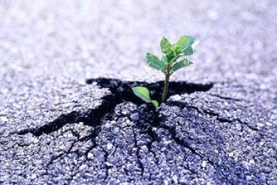 Suy ngẫm của anh (chị) về câu tục ngữ mà anh (chị) tâm đắc nhất (HS Lại Minh Châu, Lớp 12A10 năm học 2018-2019)