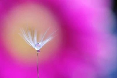 Lối cũ (cô Nguyễn Thị Hồng, tổ Ngữ Văn)