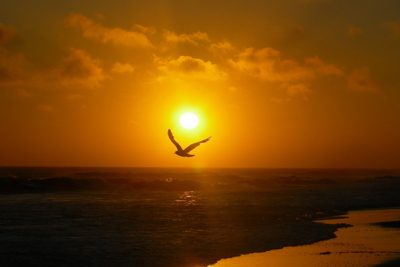 Nỗi buồn Tràng giang (HS Lê Thị Hồng Nhung, lớp 11A1, năm học 2019-2020)