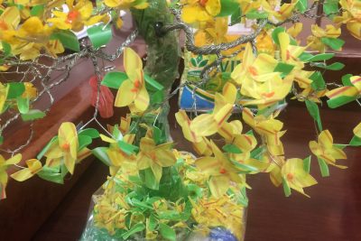 Phóng sự dự thi tuyên truyền về rác thải nhựa giải Ba – Lớp 12A6 (năm học 2019 – 2020)